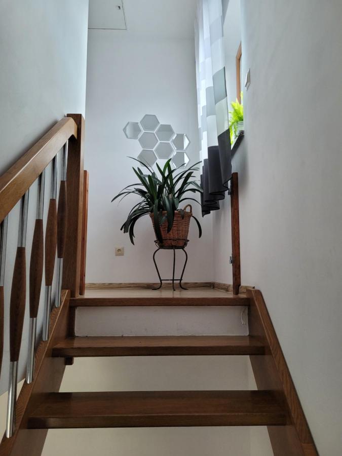 Agroturystyka Kaszuby Villagehome Borzytuchom Exteriör bild