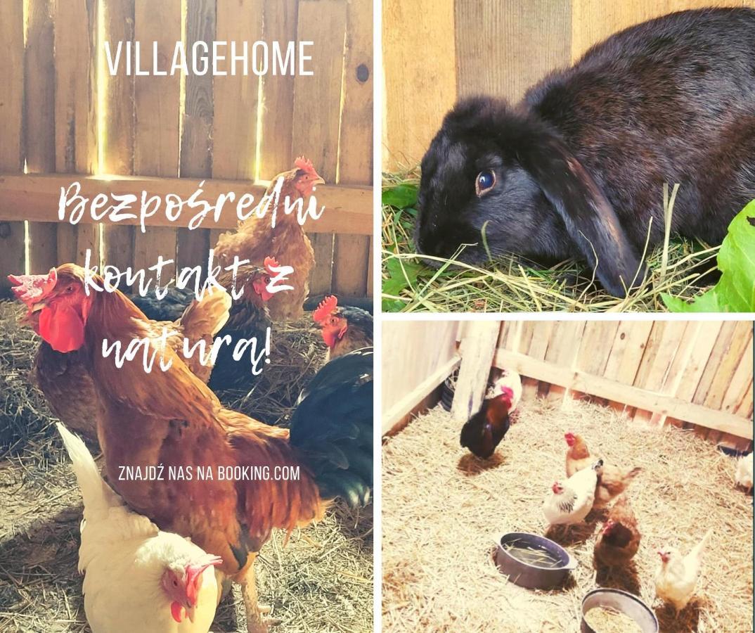Agroturystyka Kaszuby Villagehome Borzytuchom Exteriör bild